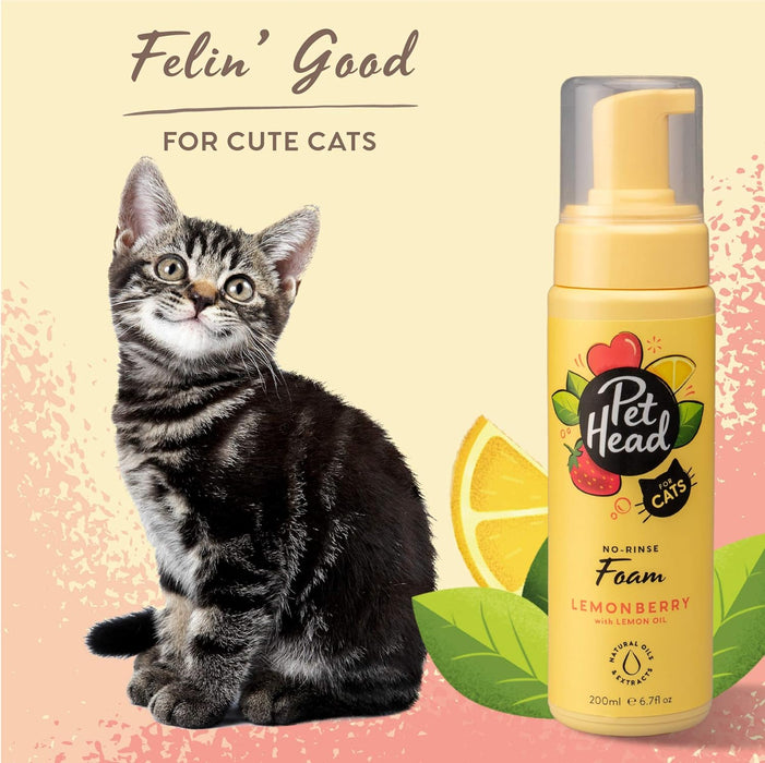 PET HEAD Felin Good Shampoo em espuma para gatos 200 ml, aroma frutado. Shampoo que não requer enxaguamento e secagem rápida. Hipoalergénico com ingredientes naturais e veganos - PetDoctors - Loja Online