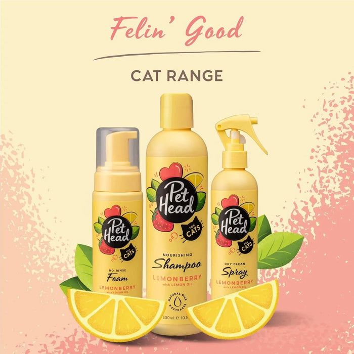 PET HEAD Felin Good Spray de higiene para gatos 300 ml, aroma de fruto. Shampoo que não requer lavagem e secagem rápida. Hipoalergénico com ingredientes naturais. Fórmula suave para gatos e gatinhos - PetDoctors - Loja Online