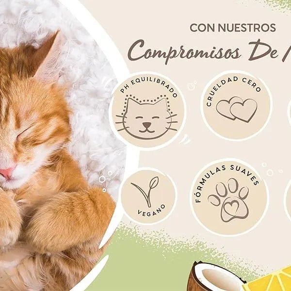 PET HEAD Felin Good Spray de higiene para gatos 300 ml, aroma de fruto. Shampoo que não requer lavagem e secagem rápida. Hipoalergénico com ingredientes naturais. Fórmula suave para gatos e gatinhos - PetDoctors - Loja Online