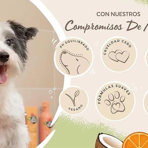 PET HEAD Furtastic Champô para cães de pelo longo e encaracolado 300 ml, aroma de melancia. Hidrata e desembaraçe o pêlo. Hipoalergénico com ingredientes naturais. Fórmula suave para cães e cachorros - PetDoctors - Loja Online