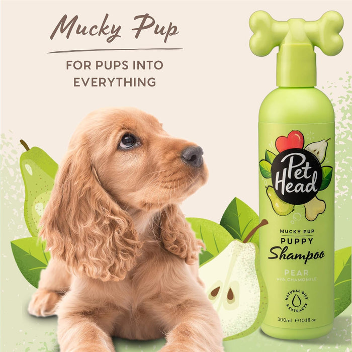 PET HEAD Mucky Puppy Shampoo para cachorros 300 ml - aroma de pêra. Shampoo hipoalergénico para cães com ingredientes naturais. Fórmula suave para cães e cachorros com mais de 8 semanas de idade - PetDoctors - Loja Online