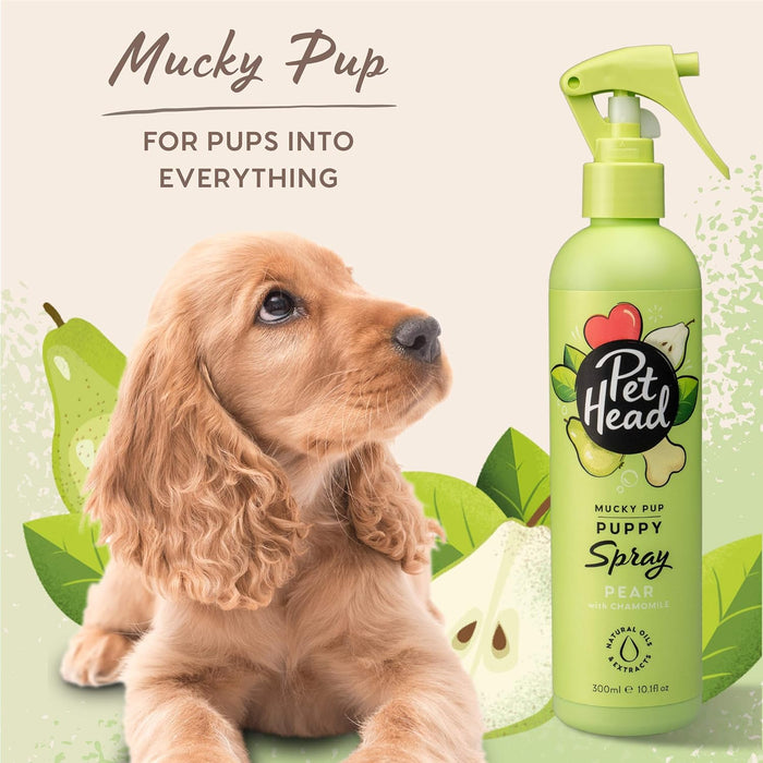 PET HEAD Mucky Puppy Spray desodorizante para cachorros 300 ml, aroma de pêra. Hipoalergénico com ingredientes naturais. Fórmula suave para cães e cachorros com mais de 8 semanas de idade - PetDoctors - Loja Online