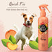 PET HEAD Quick Fix Spray de higiene para cães 300 ml - aroma de pêssego. Nutre e suaviza o pêlo. Champô seco hipoalergénico com ingredientes naturais. Fórmula suave para cães e cachorros - PetDoctors - Loja Online