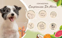 PET HEAD Sensitive Soul Condicionador para cães com pele sensível 250 ml, aroma de côco. Hipoalergénico, calmante e hidratante, ingredientes naturais e vegano. Adequado para cachorros e cães - PetDoctors - Loja Online