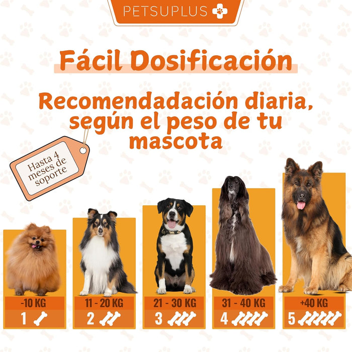 PETSUPLUS Pele e Pelo - Suplemento Alimentar com Óleo de Salmão para Cães e Ômega 3 para Cães - Comichão, Pele Seca, Irritação, Queda de Pelo e Irritabilidade - PetDoctors - Loja Online