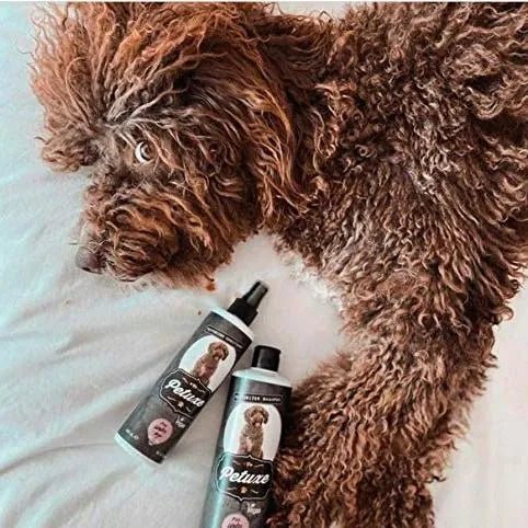 Petuxe Condicionador Vegan para cães de água - Brilho, textura e fixação de caracóis (300 ml) - PetDoctors - Loja Online