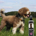Petuxe Condicionador Vegan para cães de água - Brilho, textura e fixação de caracóis (300 ml) - PetDoctors - Loja Online