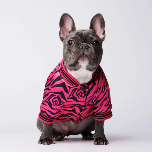 Pijama / Camisola para French Bulldog - PetDoctors - Loja Online