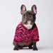 Pijama / Camisola para French Bulldog - PetDoctors - Loja Online