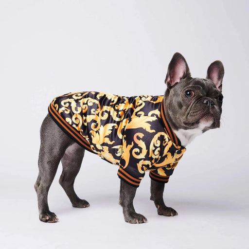 Pijama / Camisola para French Bulldog - PetDoctors - Loja Online