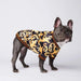 Pijama / Camisola para French Bulldog - PetDoctors - Loja Online
