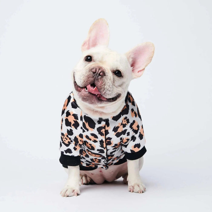 Pijama / Camisola para French Bulldog - PetDoctors - Loja Online