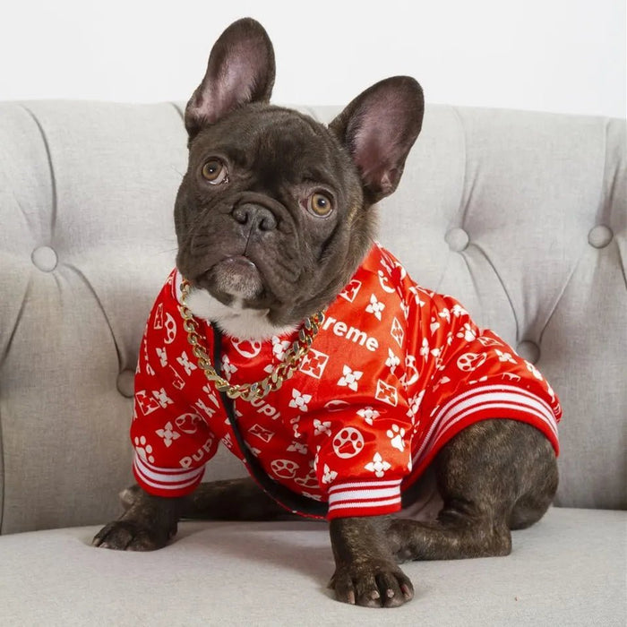 Pijama / Camisola para French Bulldog - PetDoctors - Loja Online