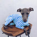 Pijama / Casaco Listado em Algodão, para Cães - PetDoctors - Loja Online