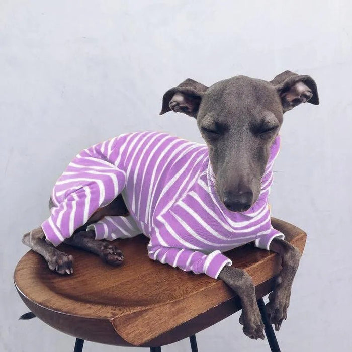 Pijama / Casaco Listado em Algodão, para Cães - PetDoctors - Loja Online