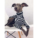Pijama / Casaco Listado em Algodão, para Cães - PetDoctors - Loja Online