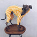 Pijama / Casaco Listado em Algodão, para Cães - PetDoctors - Loja Online