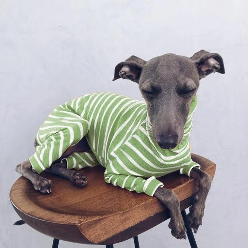Pijama / Casaco Listado em Algodão, para Cães - PetDoctors - Loja Online