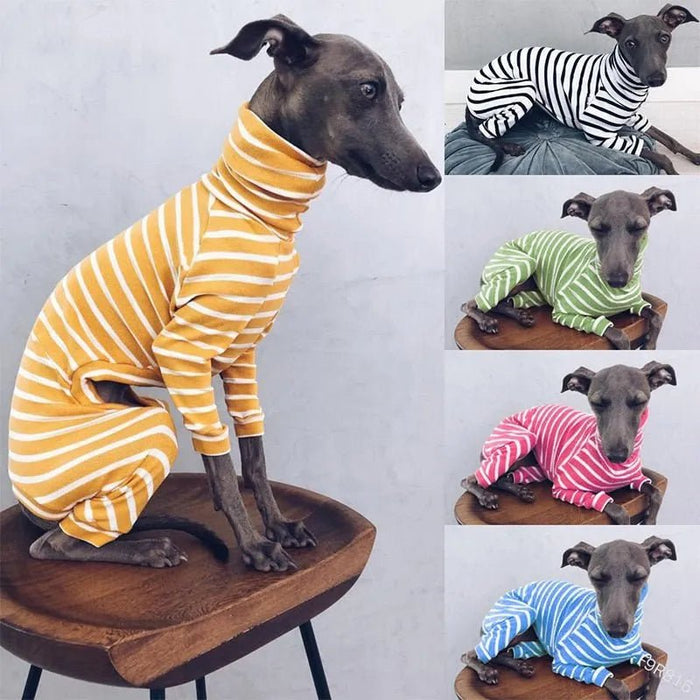 Pijama / Casaco Listado em Algodão, para Cães - PetDoctors - Loja Online