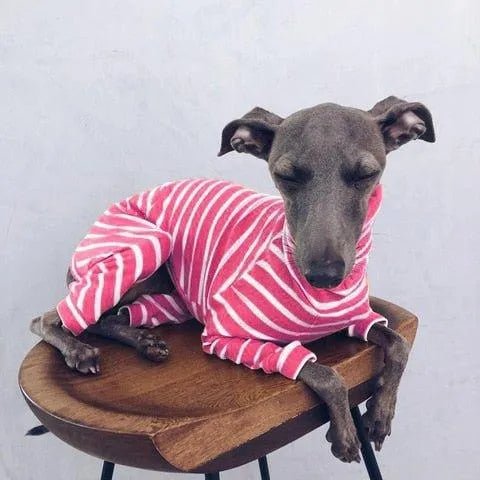 Pijama / Casaco Listado em Algodão, para Cães - PetDoctors - Loja Online