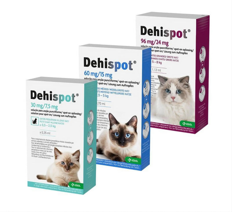 Pipeta Dehispot - Desparasitação parasitas INTERNOS para gatinho e gato (Desparasitação interna gato) - PetDoctors - Loja Online