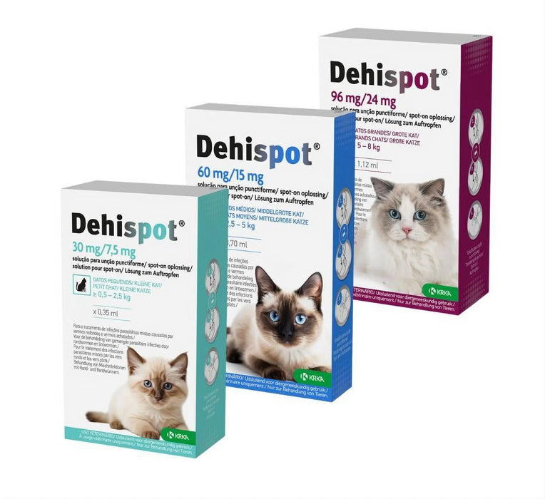 Pipeta Dehispot - Desparasitação parasitas INTERNOS para gatinho e gato (Desparasitação interna gato) - PetDoctors - Loja Online