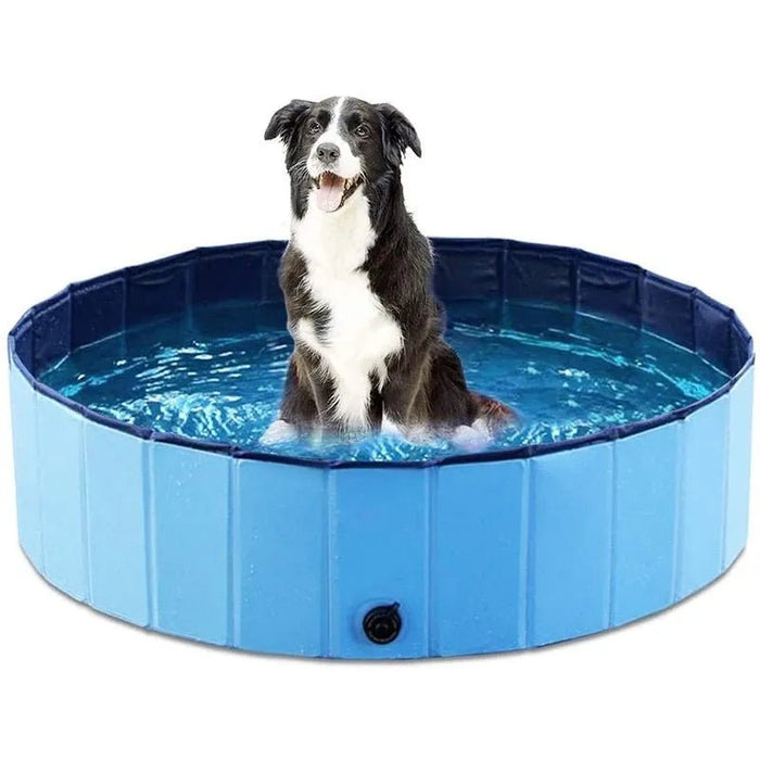 Piscina Dobrável para Cães - PetDoctors - Loja Online