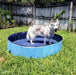 Piscina Dobrável para Cães - PetDoctors - Loja Online