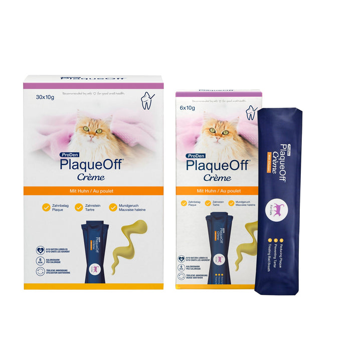 PlaqueOff Créme Gato - cuidado dentário para gato em formato de pasta - PetDoctors - Loja Online