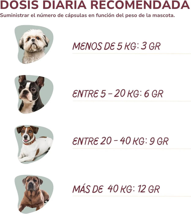 Pó para o mau hálito de cães e gatos, com clorofilina e algas Kelp, reduz a placa e o tártaro cães, evita mau hálito (150 g) - PetDoctors - Loja Online