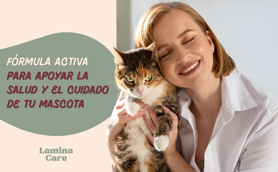 Pó para o mau hálito de cães e gatos, com clorofilina e algas Kelp, reduz a placa e o tártaro cães, evita mau hálito (150 g) - PetDoctors - Loja Online