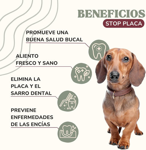 Pó para o mau hálito de cães e gatos, com clorofilina e algas Kelp, reduz a placa e o tártaro cães, evita mau hálito (150 g) - PetDoctors - Loja Online