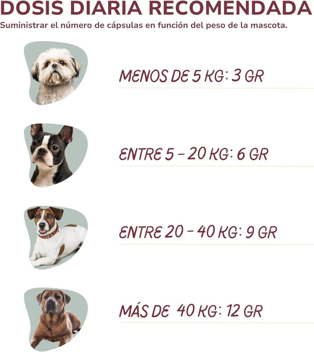 Pó para o mau hálito de cães e gatos, com clorofilina e algas Kelp, reduz a placa e o tártaro cães, evita mau hálito (150 g) - PetDoctors - Loja Online
