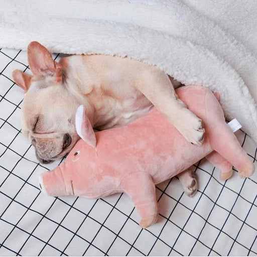 Porquinho Brinquedo em peluche para cães - PetDoctors - Loja Online