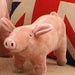 Porquinho Brinquedo em peluche para cães - PetDoctors - Loja Online