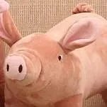 Porquinho Brinquedo em peluche para cães - PetDoctors - Loja Online