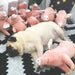 Porquinho Brinquedo em peluche para cães - PetDoctors - Loja Online