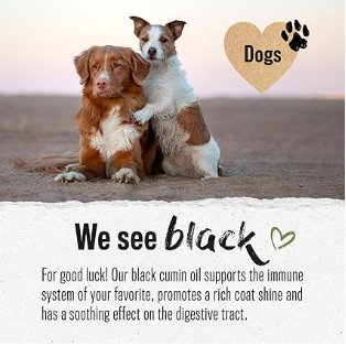 Premium Black Cumin Oil (Óleo de Cominho preto) para cães 500 ml, óleo comestível vegano contra carraças, cuidado com a pelagem, suporta o sistema imunológico e a vitalidade, prensado a frio de forma natural - PetDoctors - Loja Online