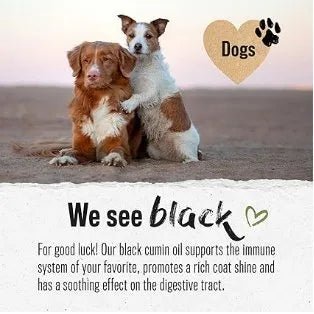 Premium Black Cumin Oil (Óleo de Cominho preto) para cães 500 ml, óleo comestível vegano contra carraças, cuidado com a pelagem, suporta o sistema imunológico e a vitalidade, prensado a frio de forma natural - PetDoctors - Loja Online