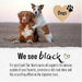 Premium Black Cumin Oil (Óleo de Cominho preto) para cães 500 ml, óleo comestível vegano contra carraças, cuidado com a pelagem, suporta o sistema imunológico e a vitalidade, prensado a frio de forma natural - PetDoctors - Loja Online