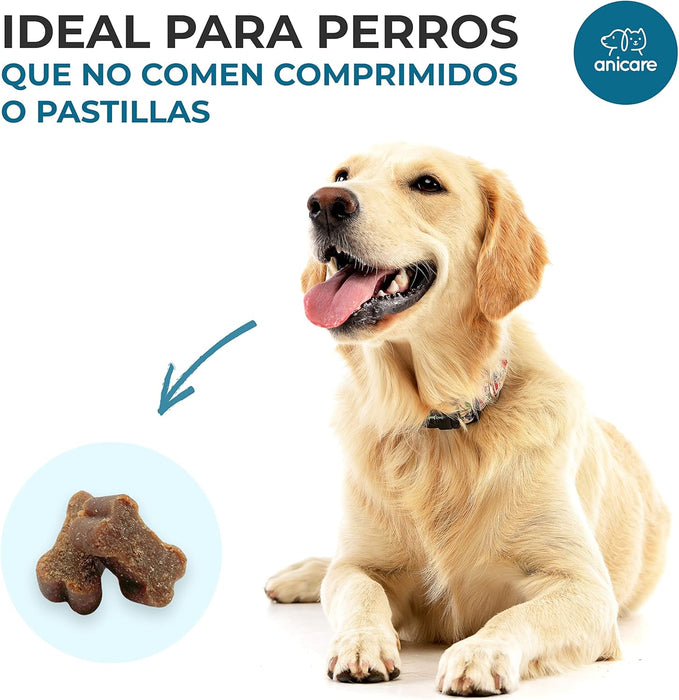 Premium Joint Care: Snacks / Biscoitos para Cães / Para as articulações - com glucosamina, condroitina, MSM e mexilhão da Nova Zelândia - PetDoctors - Loja Online