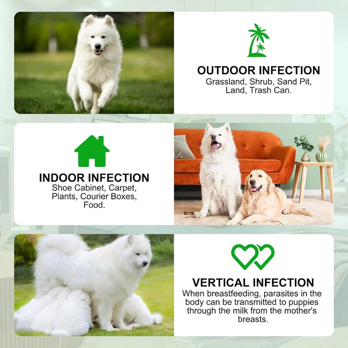 Prevenção de pulgas e carraças para cães, suplemento natural para o controlo de pulgas e carraças de cães, pílulas orais fáceis de usar, proteção contra pragas - PetDoctors - Loja Online