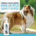 Pro Pooch Spray desembaraçante para cães (500 ml) Spray condicionador hipoalergénico para desembaraçar o pêlo do cão. 50% menos tempo dedicado à escovagem - PetDoctors - Loja Online