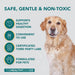 Probióticos, prebióticos e enzimas digestivas para cães | 100% natural 140 gramas para acalmar o estômago - melhora a digestão e a imunidade - PetDoctors - Loja Online