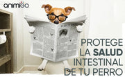 Probióticos, prebióticos e enzimas digestivas para cães 120 comprimidos sabor a frango, - ajuda a digestão e o sistema imunitário - PetDoctors - Loja Online