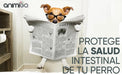 Probióticos, prebióticos e enzimas digestivas para cães 120 comprimidos sabor a frango, - ajuda a digestão e o sistema imunitário - PetDoctors - Loja Online
