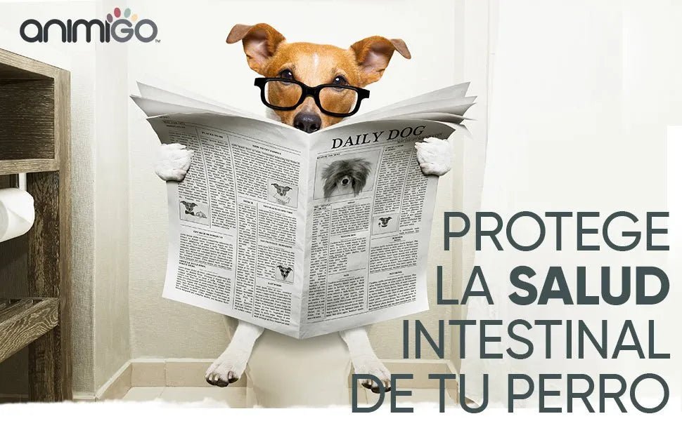 Probióticos, prebióticos e enzimas digestivas para cães 120 comprimidos sabor a frango, - ajuda a digestão e o sistema imunitário - PetDoctors - Loja Online