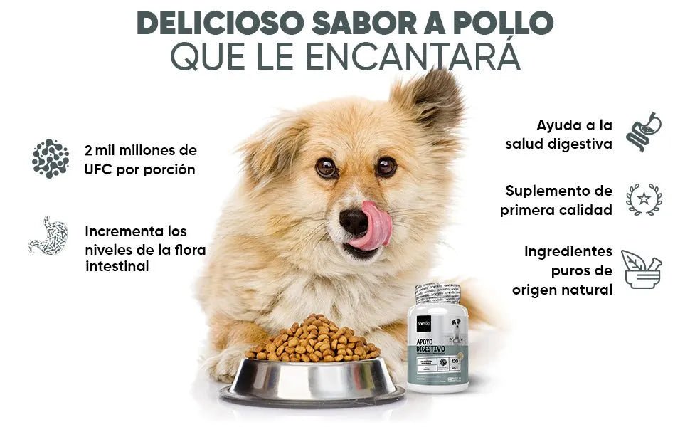 Probióticos, prebióticos e enzimas digestivas para cães 120 comprimidos sabor a frango, - ajuda a digestão e o sistema imunitário - PetDoctors - Loja Online