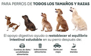 Probióticos, prebióticos e enzimas digestivas para cães 120 comprimidos sabor a frango, - ajuda a digestão e o sistema imunitário - PetDoctors - Loja Online