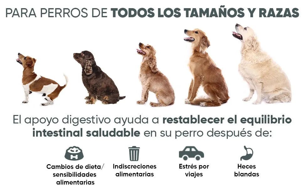 Probióticos, prebióticos e enzimas digestivas para cães 120 comprimidos sabor a frango, - ajuda a digestão e o sistema imunitário - PetDoctors - Loja Online